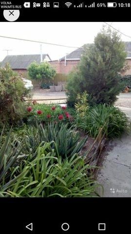Image0