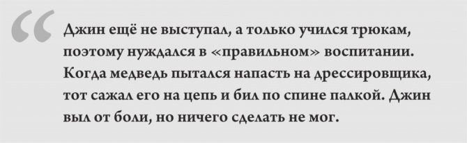 Часы Работы Сбербанка в Данилове Ярославской Области • Цирковые профессии