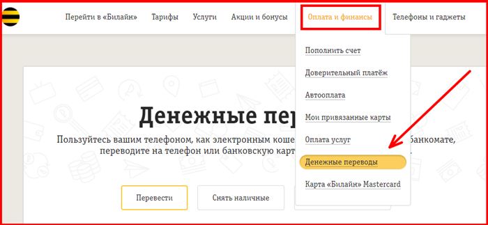 Как сделать перевод денег с Билайна на карту Сбербанка? Подробная инструкция