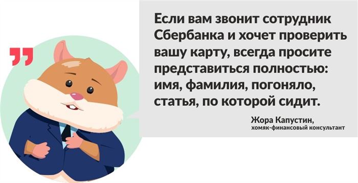 хомяк Жора Капустин