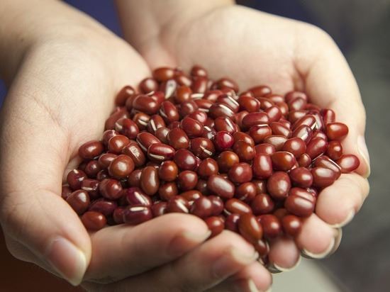 Многие богатые белком продукты, однако они одновременно выступают источниками «плохого» холестерина – это не только яйца и красное мясо, но даже белое мясо, если оно жирное