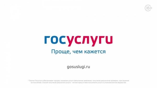 Поучительная история о том, как я штраф на Госуслугах оплачивал и что из этого вышло Госуслуги, Судебные приставы, Онлайн-Платежи