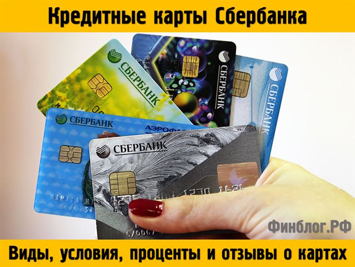 Кредитные карты Сбербанка: условия, виды, проценты и отзывы о картах