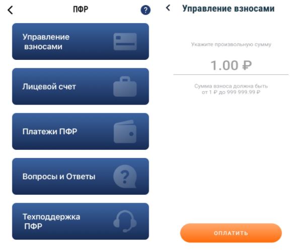 Функции Пенсионного фонда в приложении Мой налог