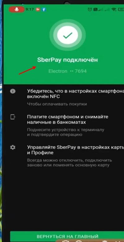 что такое СберПей